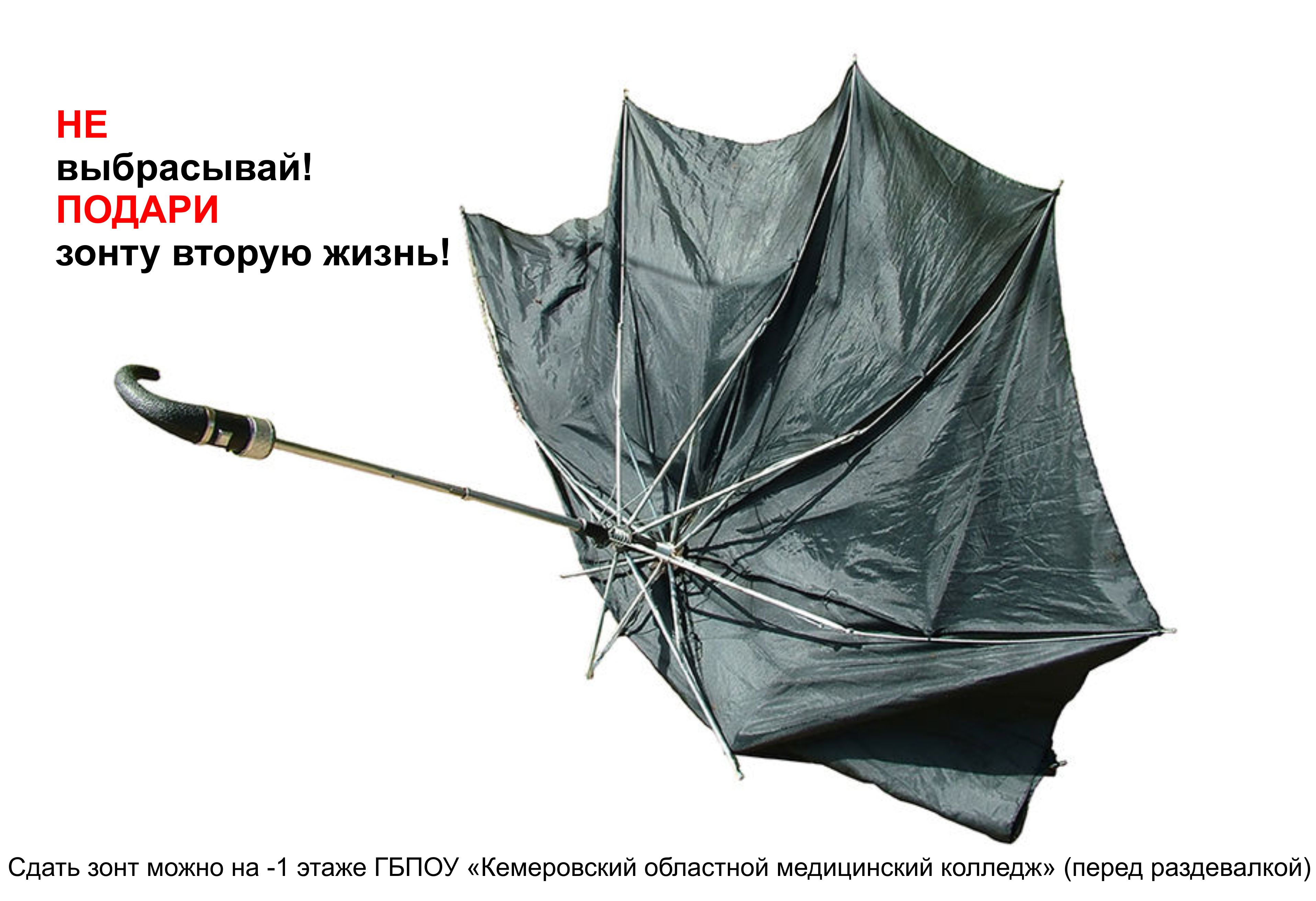 Зонт кристиан диор. Зонт синий. Он распускал зонтик. Зонтики анимация. Зонт необычной формы.
